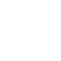 BFV US HUD
