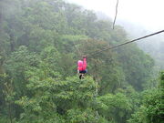 800px-Zip-line over rainforest canopy 4 January 2005, Costa Rica