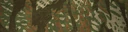 BF4 Reed Autumn Paint