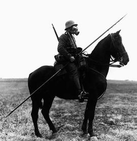 Cavalry Lance IRL