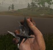 Caltrops being held by the player.