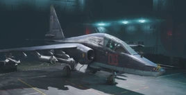 Su-25TM 2042 Portal