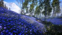 BF5 Halvoy Blue Forest