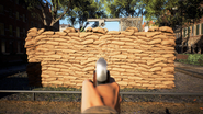 Iron sights