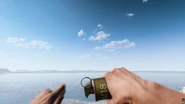 Throwing the Smoke Grenade