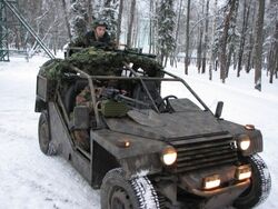 Vdv buggy