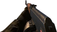 BFHL RPK-1.png (403 KB) First person view