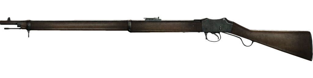 Martini-Enfield Rifle