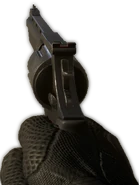 BFHL 44Mag-1.png (121 KB) .44 Magnum in first person