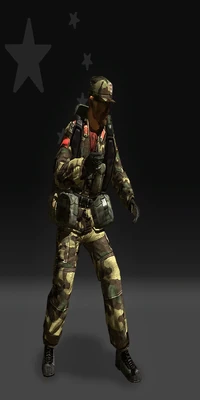 BF2HQ.PLA.Engineer Kit M67