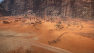 Sinai Desert 17