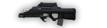 BF2 FN F2000