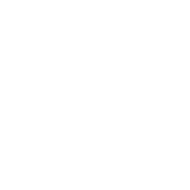 BFV Valentine AA HUD