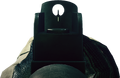 View through iron sight.