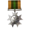 Legion of Blood Medal