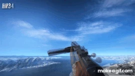 BFV Weapon Inspection