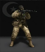 Mecsfassault.jpg (113 KB) Der MECSF Sturmsoldat.