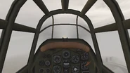 Pilot view