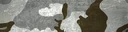 BF4 ERDL Snow Paint