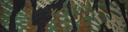 BF4 Reed Woodland Paint