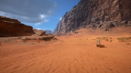 Sinai Desert 14