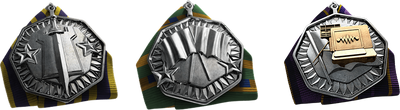 Medals for different Conquest variants in Battlefield 4
