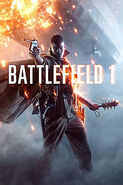 The C96 in the Battlefield 1 boxart.