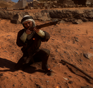 Bedouin rifleman