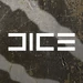 BFV DICE Camo