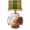 Order of Icarus Medal