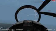 Pilot view