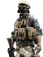 The standard USMC Support from Battlelog.