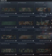 The weapon/vehicle camouflages of Battlefield 4 in woodland color