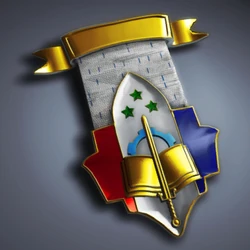 BF2SF.Service Award Medal Perspective