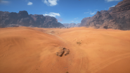 Sinai Desert 27