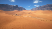 Sinai Desert 28