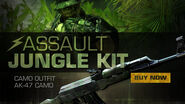 Promotional poster of the new released AK-47 jungle camo from the Play4Free website