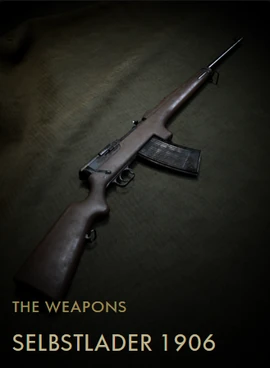 Selbstlader 1906 Codex Entry