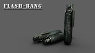 An early render of the Flashbang.