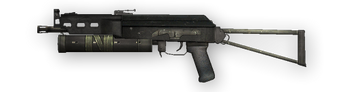 PP-19