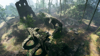 Argonne Forest Domination Abbey Ruin