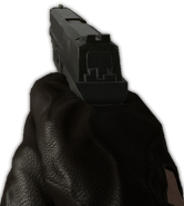 BFHL 40Pro-1.png (186 KB) .40 Pro in first person
