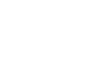 Performance Sedan