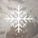 BFV Frozen Fir Camo
