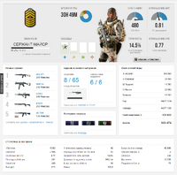 Battlelog Stat Page Example