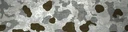 BF4 Flecktarn Snow Paint