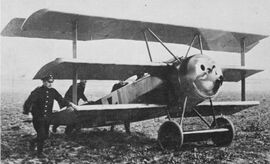 WW1 Fokker IRL