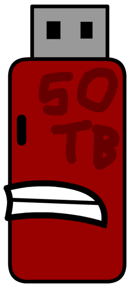  BFDI 20