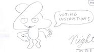 Voting instructions storyboard