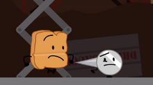 Woddy and Naily-0.png